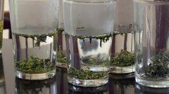 茶财产破23亿元